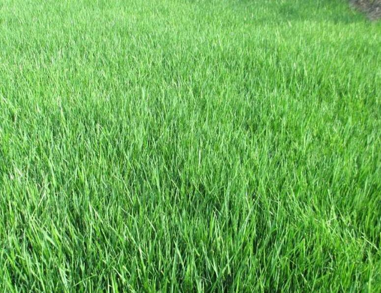 1642757640329697.jpg 1642757640329697.jpg