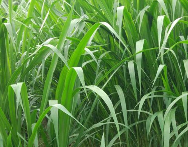 1642762794530864.jpg 3.jpg