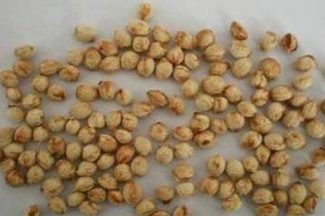 1642764428482801.jpg 1642764428482801.jpg