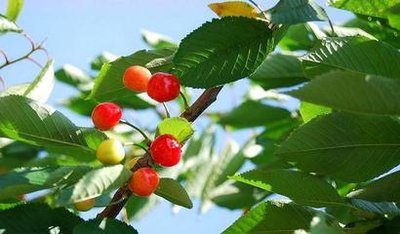 1642764449439765.jpg 1642764449439765.jpg