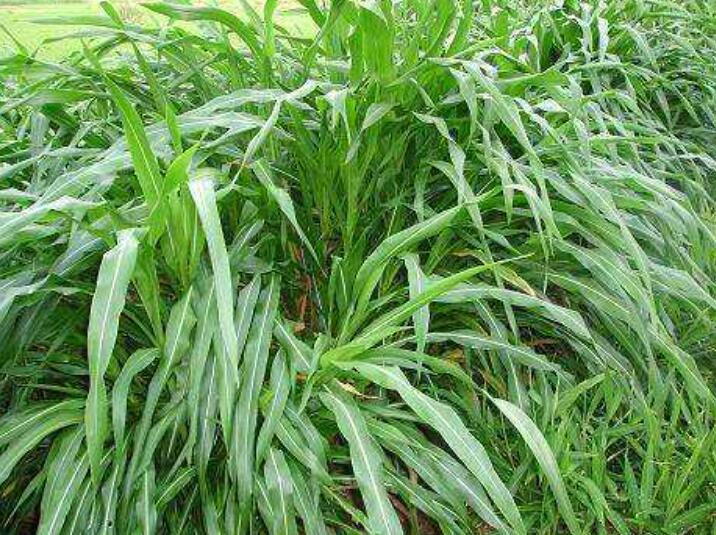 1643000391473075.jpg 1643000391473075.jpg