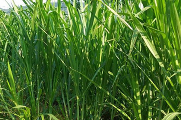 1643079836234516.jpg 1643079836234516.jpg