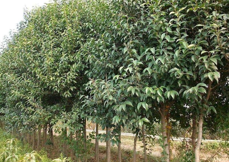 1643081839512383.jpg 1643081839512383.jpg