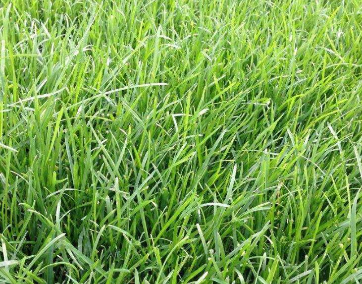 1643182947403869.jpg 1643182947403869.jpg