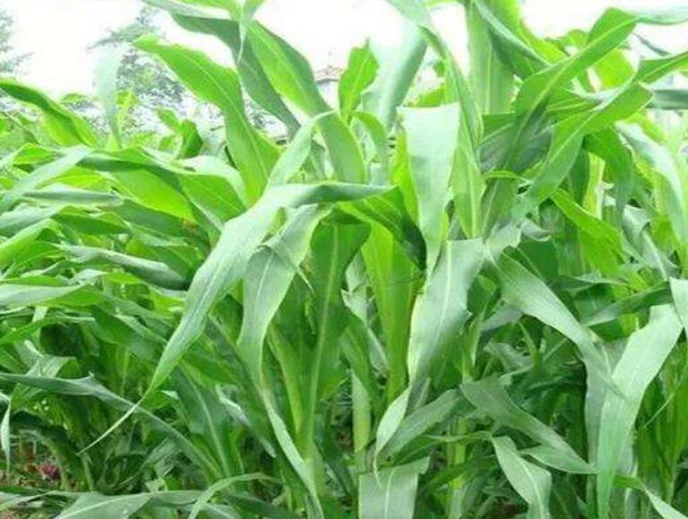 1643184128396904.jpg 3.jpg