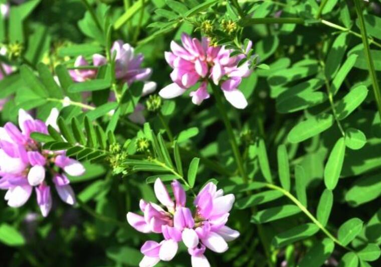 1643270907857098.jpg 1643270907857098.jpg