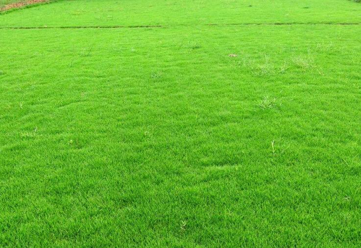 1643284248755619.jpg 1643284248755619.jpg