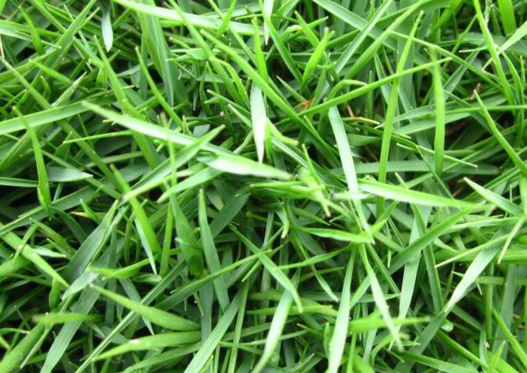 1643284257316877.jpg 1643284257316877.jpg