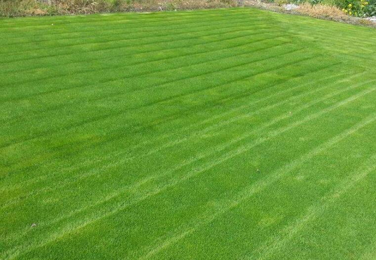 1643284267551637.jpg 1643284267551637.jpg