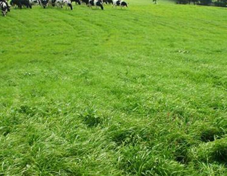 1643543339479249.jpg 1643543339479249.jpg