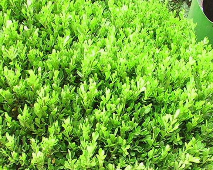 1643977201117054.jpg 1643977201117054.jpg