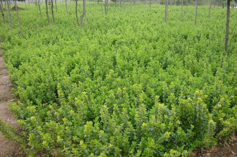 1643977201676768.jpg 1643977201676768.jpg