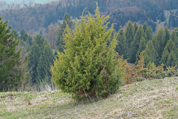 1644062347265621.jpg 1644062347265621.jpg