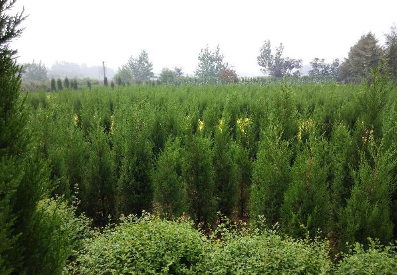 1644075828518999.jpg 1644075828518999.jpg