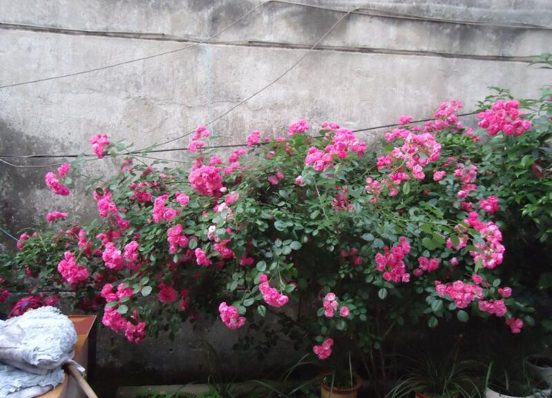 1644076356843224.jpg 1644076356843224.jpg