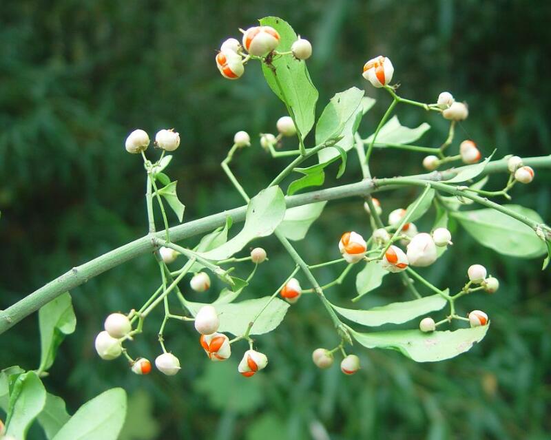 1644078098548020.jpg 1644078098548020.jpg