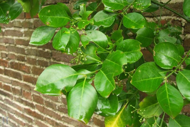 1644078098619238.jpg 1644078098619238.jpg