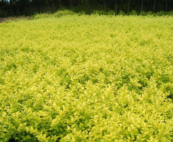 1644120344161452.jpg 1644120344161452.jpg