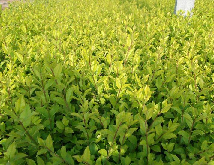 1644120344849668.jpg 1644120344849668.jpg