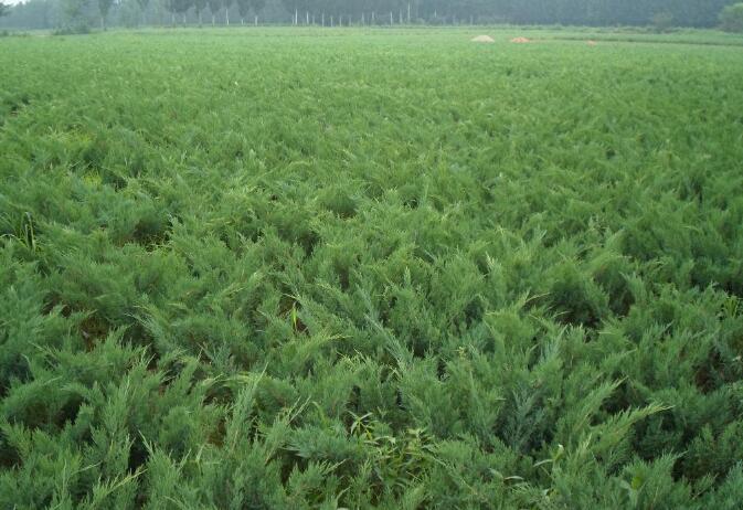 1644120833864768.jpg 1644120833864768.jpg