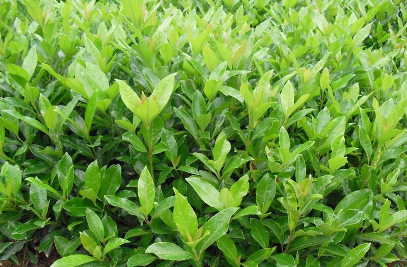 1644216646535986.jpg 1644216646535986.jpg