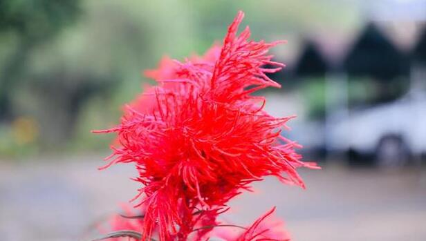 1644223456671788.jpg 1644223456671788.jpg