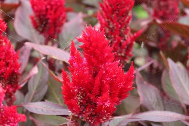 1644223456693265.jpg 1644223456693265.jpg