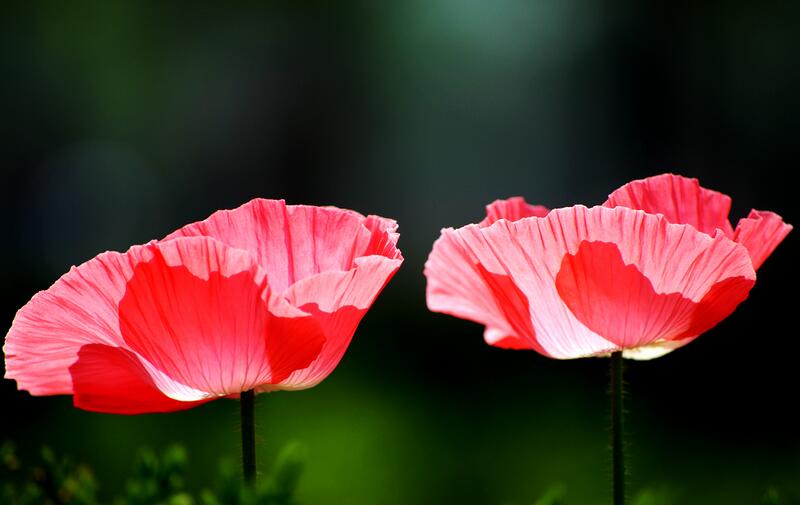 1644225285465480.jpg 1644225285465480.jpg