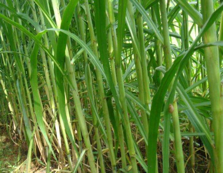 1644575670763311.jpg 1644575670763311.jpg