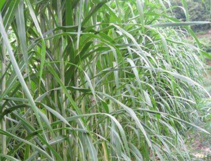 1644581165185048.jpg 3.jpg