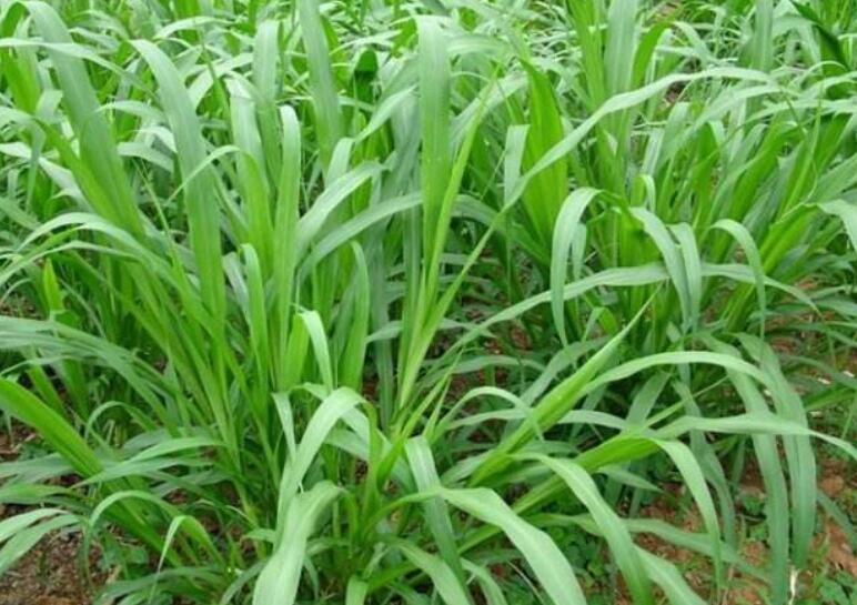 1644583199824494.jpg 1.jpg