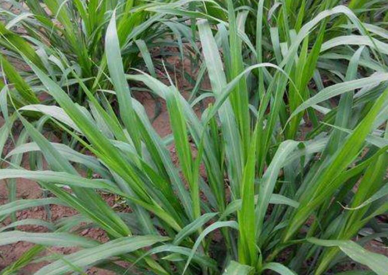 1644583734257924.jpg 1644583734257924.jpg