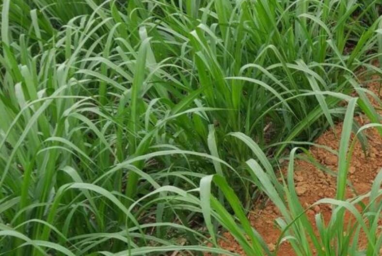 1644583786271151.jpg 1644583786271151.jpg