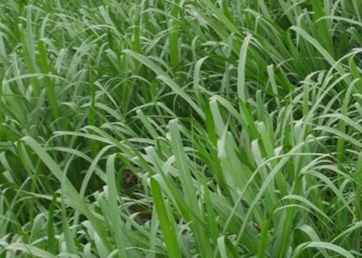 1644652568119068.jpg 3.jpg