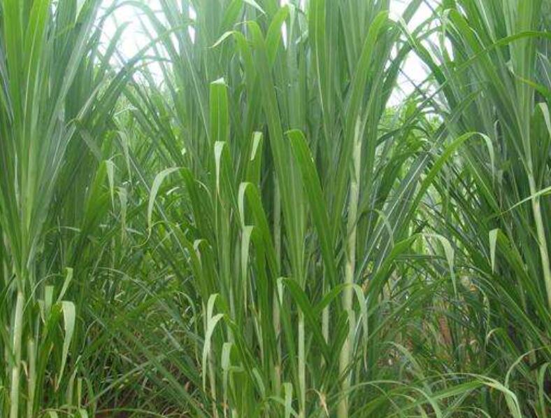 1644668981141914.jpg 1644668981141914.jpg