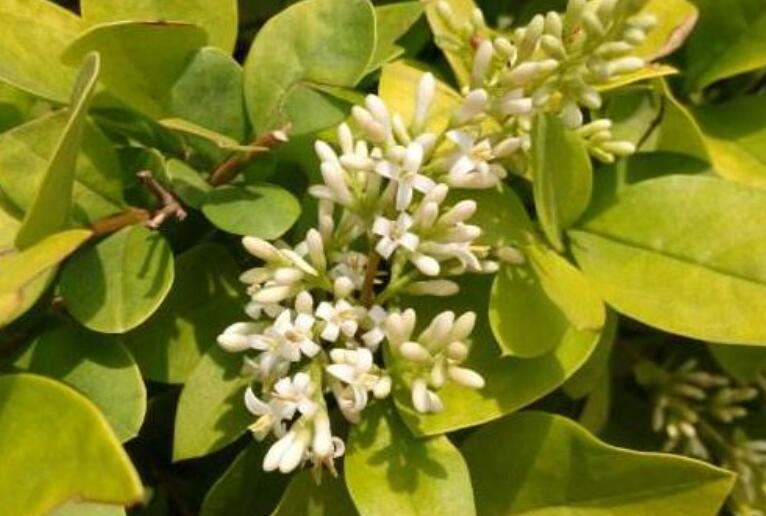 1644757226226850.jpg 女1.jpg