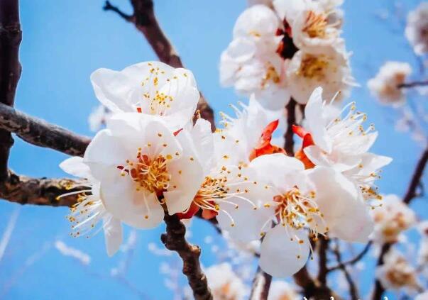 1644902713165169.jpg 1644902713165169.jpg