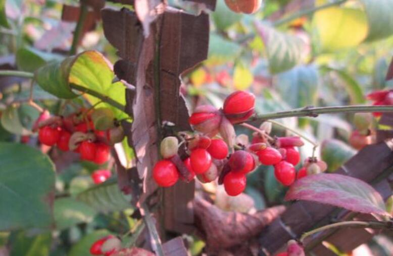 1644938458761022.jpg 2.jpg