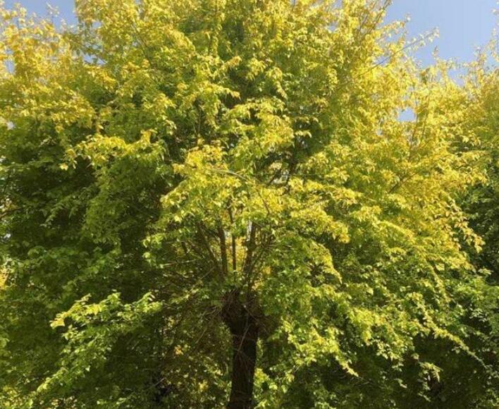 1645103362797245.jpg 1.jpg