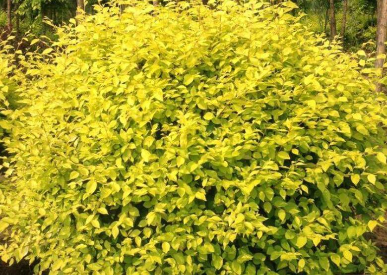 1645103371938559.jpg 2.jpg