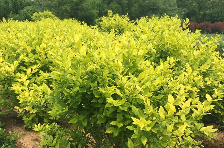 1645103380628769.jpg 3.jpg