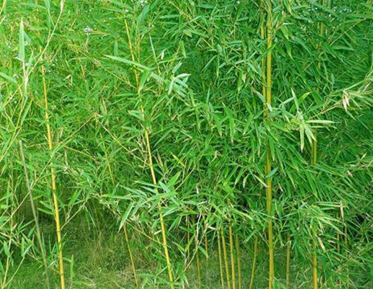 1645168078755914.jpg 3.jpg