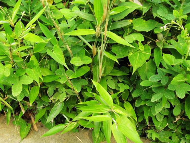 1645168706570863.jpg 1645168706570863.jpg