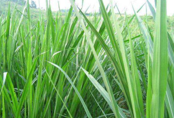 1645246824730038.jpg 1.jpg