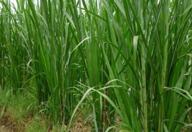 1645246832925886.jpg 2.jpg