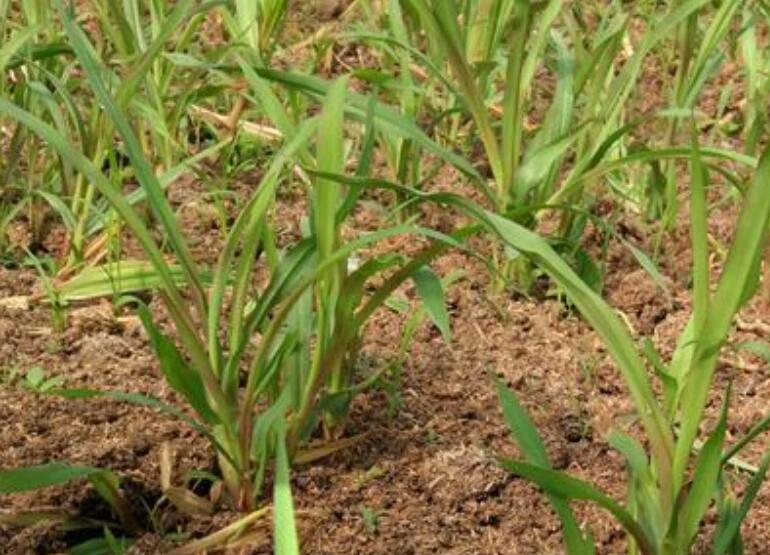 1645246840336343.jpg 3.jpg