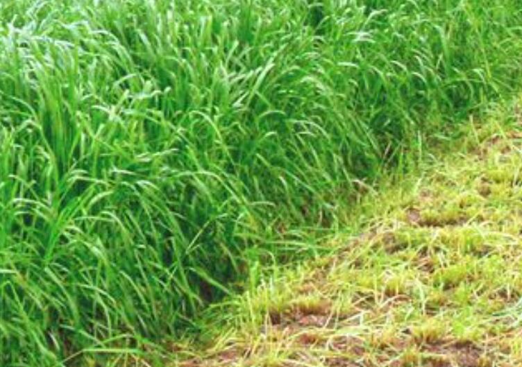 1645531345713828.jpg 1645531345713828.jpg