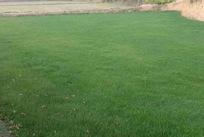 1645531363299745.jpg 1645531363299745.jpg