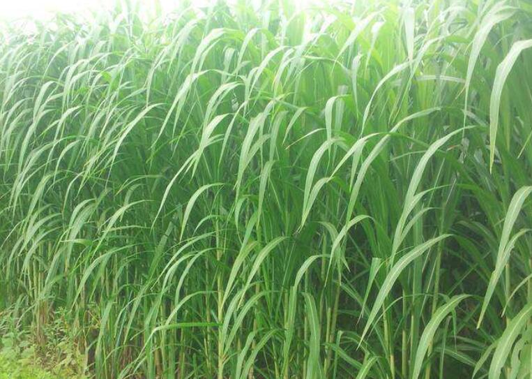 1645625598382308.jpg 1.jpg