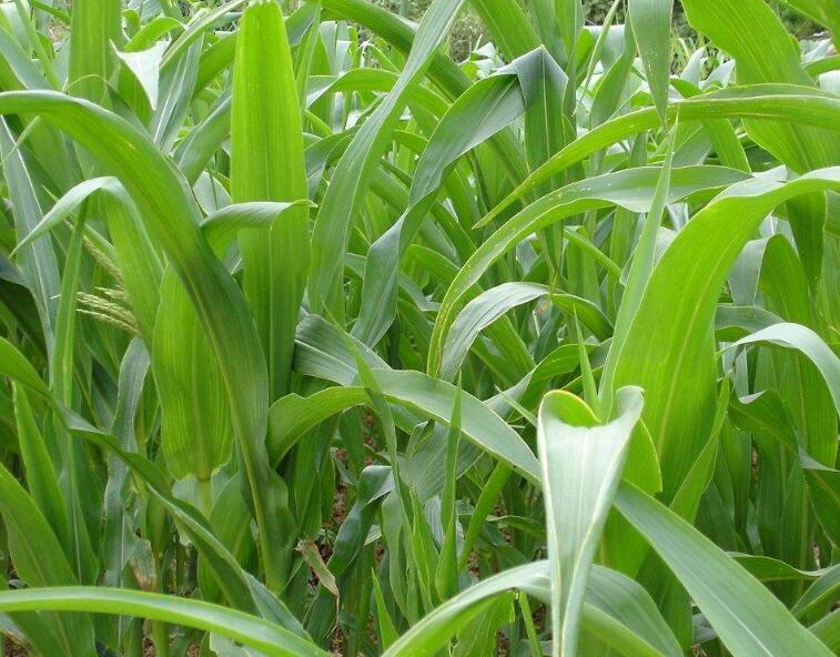 1645698579626938.jpg 3.jpg